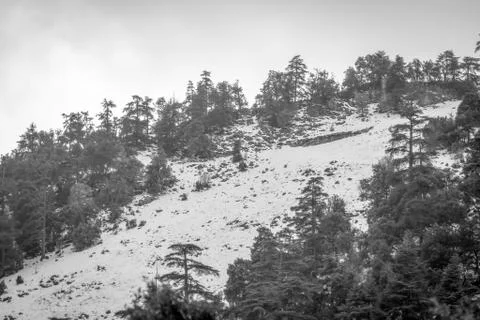 Snow on michlifen Stock Photos