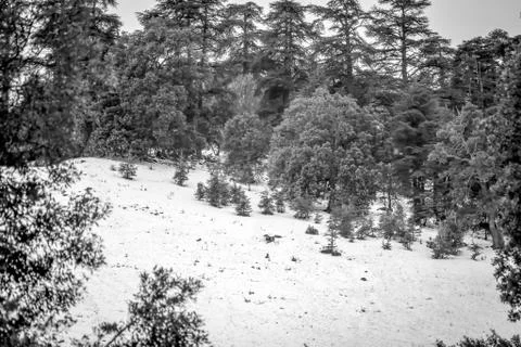Snow on michlifen Stock Photos