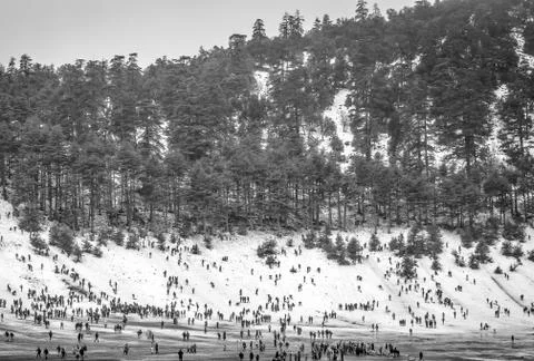 Snow on michlifen Stock Photos