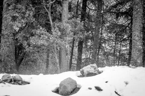 Snow on michlifen Stock-Fotos