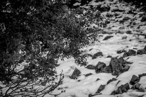 Snow on michlifen Stock Photos