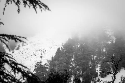 Snow on michlifen Stock Photos