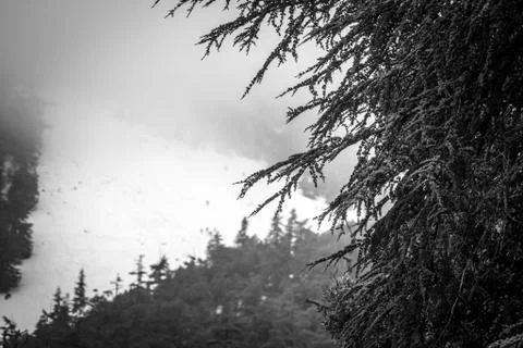 Snow on michlifen Stock Photos