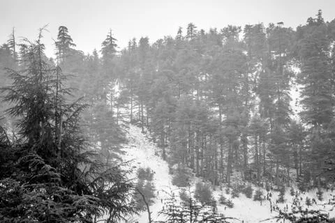 Snow on michlifen Stock Photos