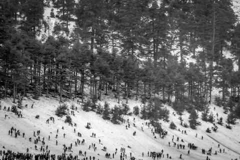 Snow on michlifen Stock Photos