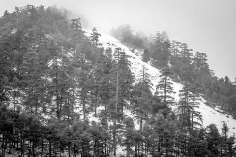 Snow on michlifen Stock Photos