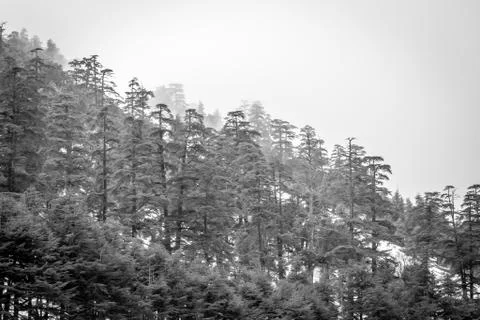 Snow on michlifen Stock Photos