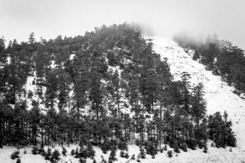 Snow on michlifen Stock Photos