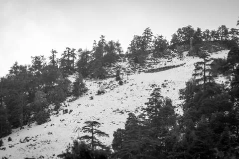 Snow on michlifen Stock Photos