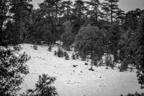 Snow on michlifen Stock Photos
