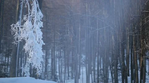 Snow mist from the cannon - slow motion Stock Footage 10595385