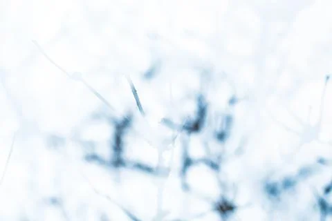 Snow mist on a window background Stock Photos
