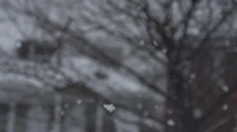 Snow Motion 2 Stock Footage 15182475