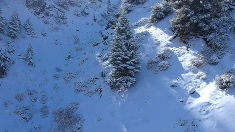 Snow Mountain Stock Footage 121593279