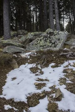 Snow on the mountain in the forest Stockfoto's