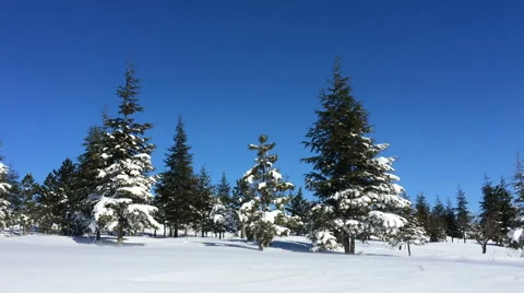 Snow Mountain hill 1 Video stock 47249298