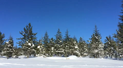 Snow Mountain hill 2 Video stock 47249249