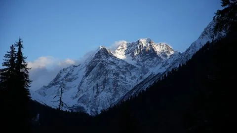 Snow mountain with old tree on foreground Stock Photos