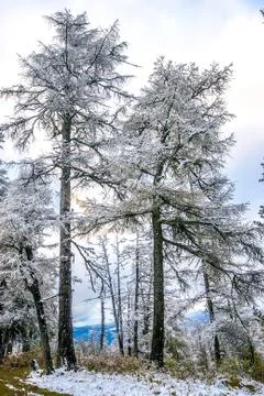 Snow on mountain pass Stock Photos