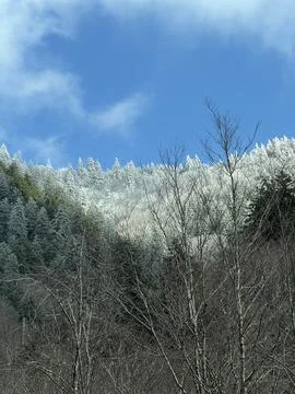 Snow on the Mountain Stock Photos