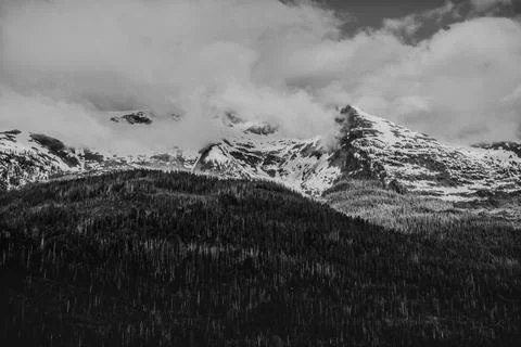 Snow on mountain tops with low clouds and shaded forest Stock Photos
