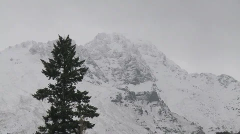 Snow mountain tree Stock Footage 1250290