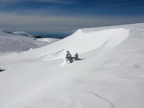 Snow mountain tree Stock Photos