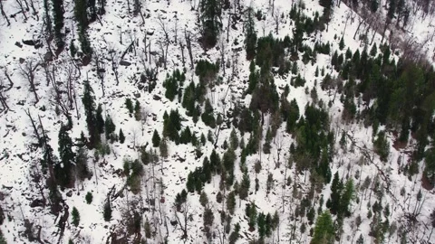 Snow Mountain Valley with Pine Forest Landscape Video stock 332174527