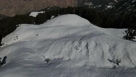 Snow mountains covered with thick vegetation trees. aerial drone shot Stock Footage 158083553
