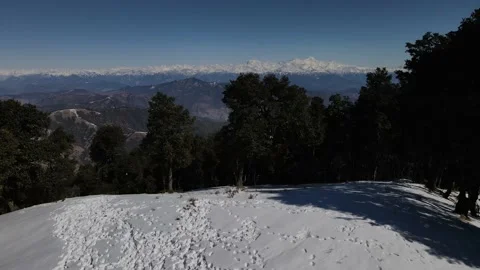 Snow mountains covered with thick vegetation trees. aerial drone shot Video stock 158084100