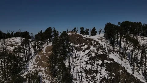 Snow mountains covered with thick vegetation trees. aerial drone shot Stock Footage 158084202