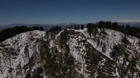 Snow mountains covered with thick vegetation trees. aerial drone shot Stock Footage 158084258