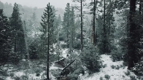 Snow in mountains hover Stock Footage 271313534