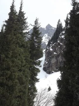 Snow mountains 库存照片