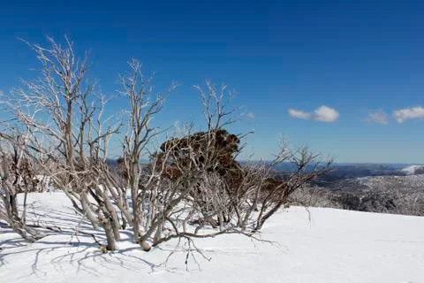 Snow on the mountainside Stock Photos
