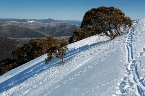 Snow on the Mountainside Stock Photos