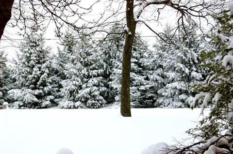 Snow in muncie Fotos de archivo