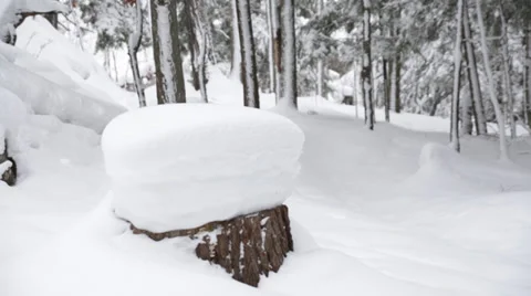 Snow mushroom Stock-Footage 34428555