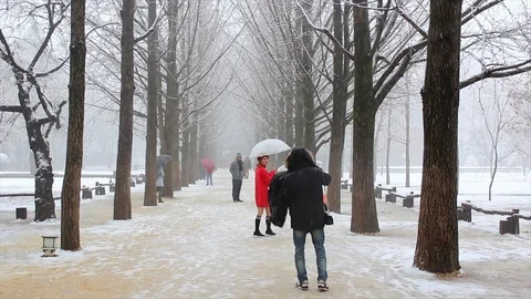 Snow nami island Stock Footage 103857249