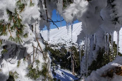 Snow in navacerrada madrid spain Stock Photos