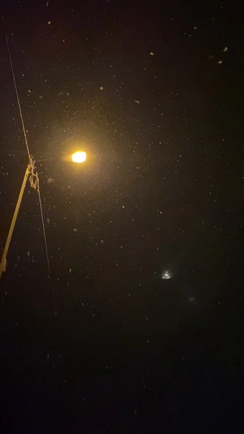 Snow at the night Video stock 229132321