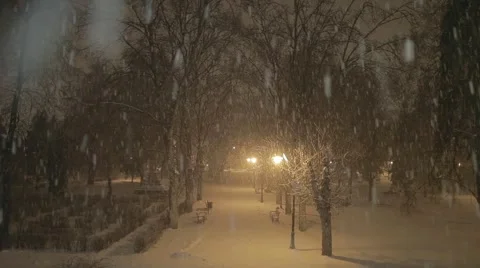 Snow at night in the park Stock Footage 44514048