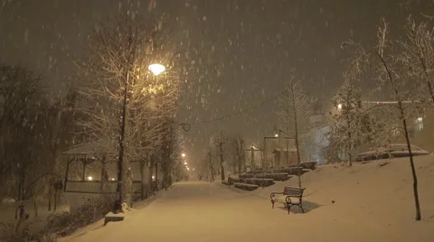 Snow at night in the park Stock Footage 44514177