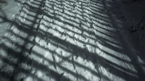 Snow Night Path 4K Stock Footage 84069188