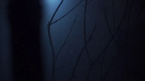 Snow Night Slow Motion Stock Footage 39636709