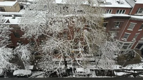 Snow in NYC Stock-Fotos