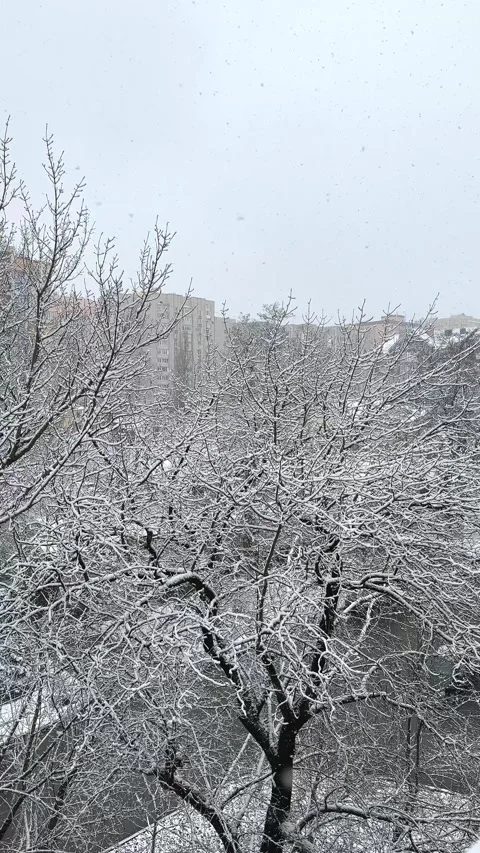 Snow outside window. Calm fall of snowflakes. Winter weather Stock Footage 226937107