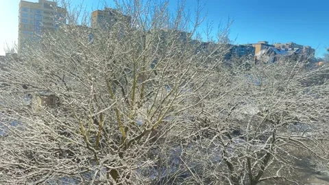 Snow outside window. Calm fall of snowflakes. Winter weather Stock Footage 227103448