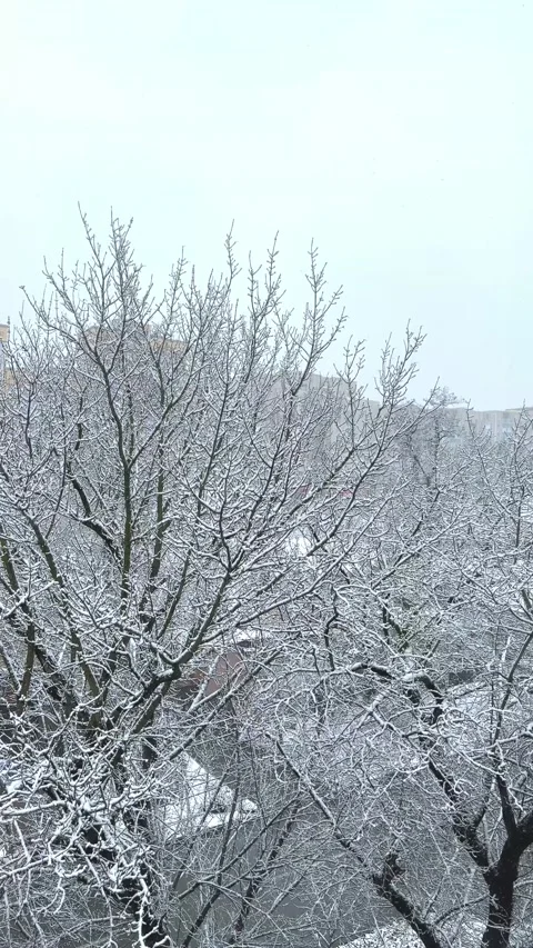 Snow outside window. It's snowing outside. Winter weather Stock Footage 226922359