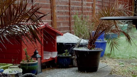 Snow over Cat House Stock Footage 271585796